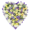 A studio-style photograph of a densely packed heart-shaped floral tribute, arranged on a pristine white background so every petal and leaf reads clearly. The heart is tightly constructed from a base of lush white carnations that form a cloud-like cushion, overlaid with numerous cream and pale yellow roses at varying stages from tight buds to gently opening blooms; a few roses carry a faint wash of pale green at their centers, adding subtle depth. Scattered through the composition are sprays of lavender-hued statice and small, daisy-like purple asters with bright yellow eyes, their deeper tones giving the piece contrast and delicate punctuation. Blue-green eucalyptus leaves-rounded and softly silvered-are tucked through the flowers, breaking the density with cool, sculptural shapes and suggesting a faint herbal scent. Around the outer edge, a continuous loop of rich purple satin ribbon has been folded into a neat, slightly ruched border that defines the heart and gives the tribute a finished, dignified silhouette. The lighting is soft and even, revealing the tactile difference between the ruffled carnations, the velvety rose petals, and the papery statice, while the overall pastel palette reads calm and consoling. This composition is clearly crafted for remembrance: its quiet colours and meticulous form speak of sympathy and enduring affection. Locally, this style of heart is commonly chosen for funerals and memorials across Norbiton, Kingston and Surbiton, where families often request a peaceful, traditional tribute that conveys respect and lasting love.